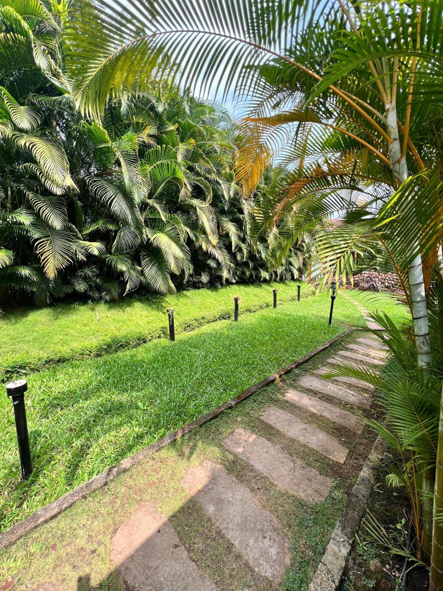 Coorg Nesara Hotel And Resort Kushalnagar Ngoại thất bức ảnh